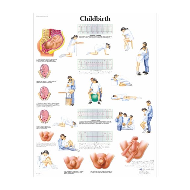 3B Poster Naissance Enfant Plastifié