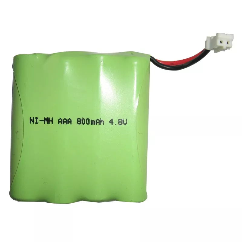 BATTERIE ÉLECTROSTIMULATEUR  GLOBUS