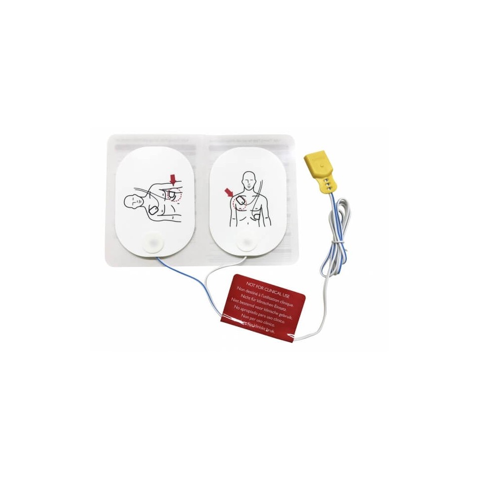 Electrode de rechange