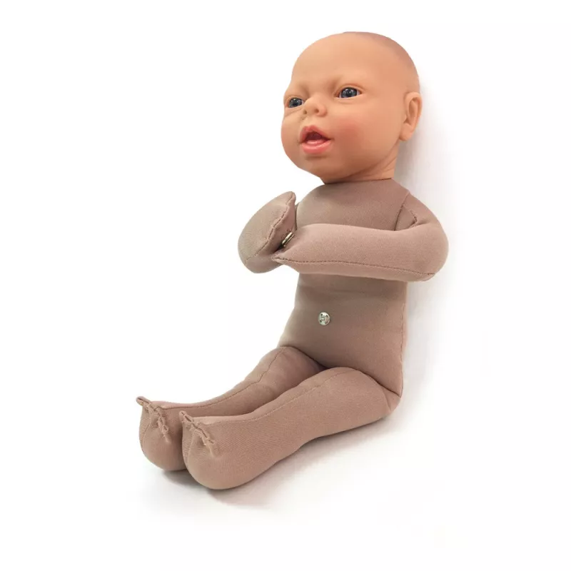 MODÈLE DE FOETUS