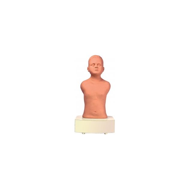 PAT : Simulateur d&rsquo;auscultation pédiatrique